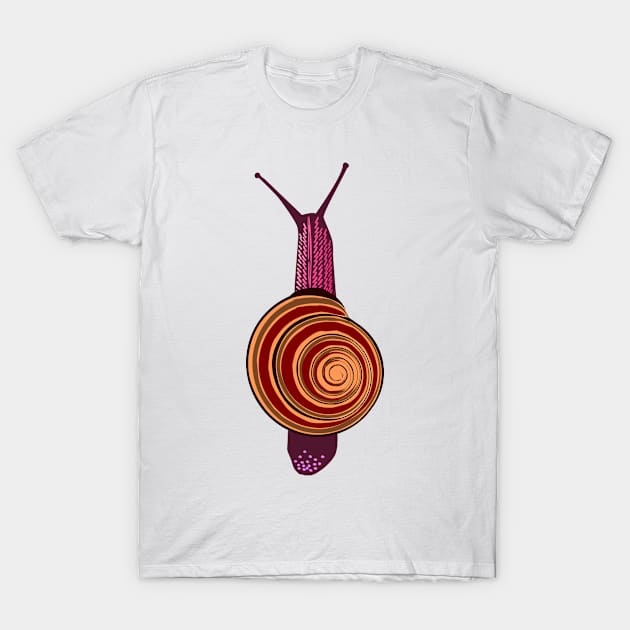 Snail on my back T-Shirt by denip